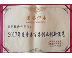 2017年度費(fèi)縣百名創(chuàng)業(yè)創(chuàng)新模范