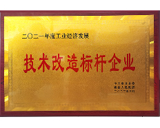 2021技術(shù)改造標(biāo)桿企業(yè)